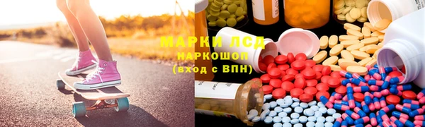 мяу мяу мука Михайловск
