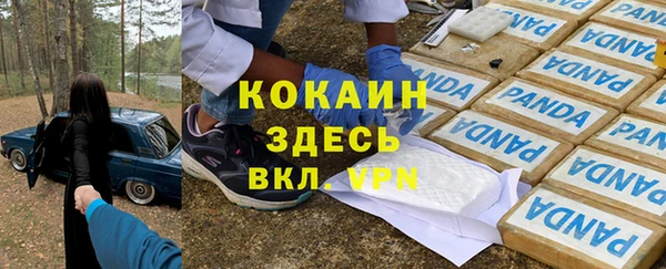 мяу мяу мука Михайловск