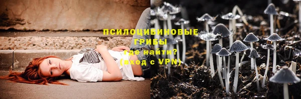 мяу мяу мука Михайловск