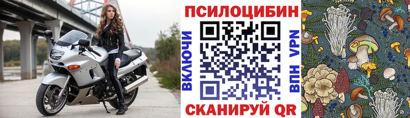 Псилоцибиновые грибы Magic Shrooms Подпорожье